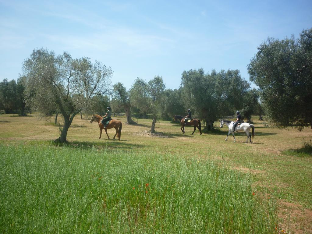 Masseria Li Campi Cavallino di Lecce Bagian luar foto